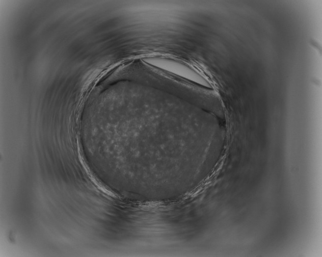 X0000096490097200802211247