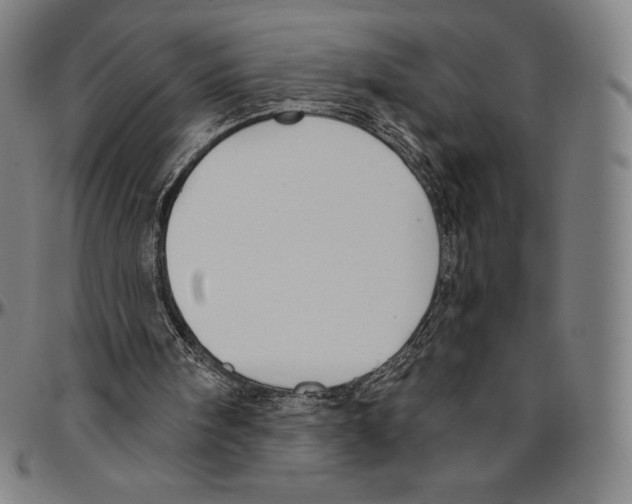 X0000096490098200802211247