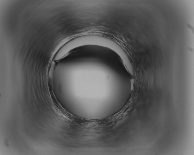 X0000096490100200802211247