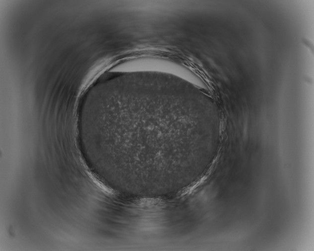 X0000096490101200802211247