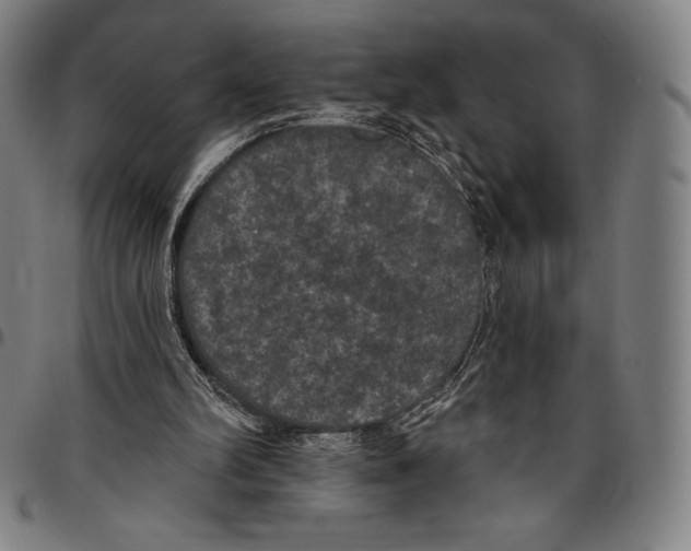 X0000096490102200802211247