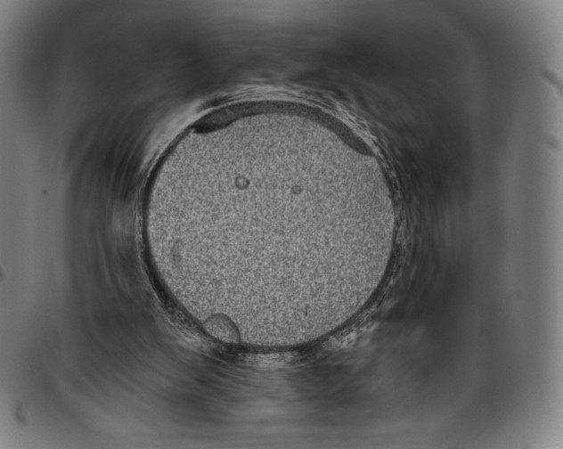 X0000096490103200802211247