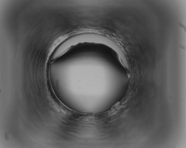 X0000096490104200802211247