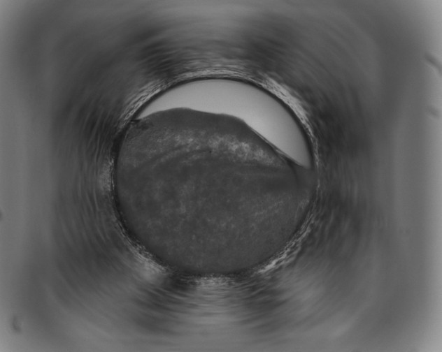 X0000096490105200802211247