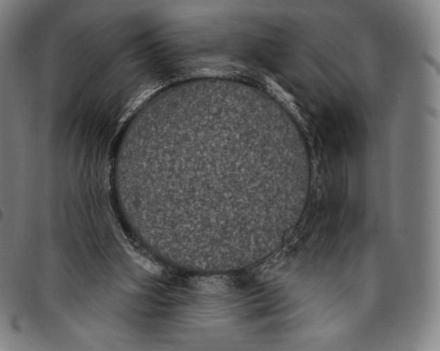 X0000096490106200802211247