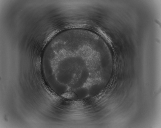 X0000096490107200802211247