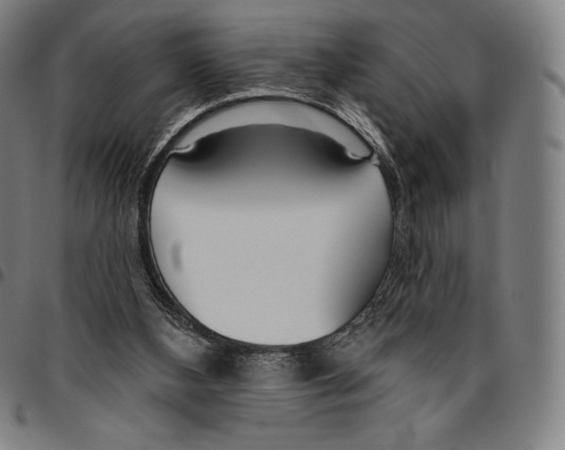 X0000096490108200802211247