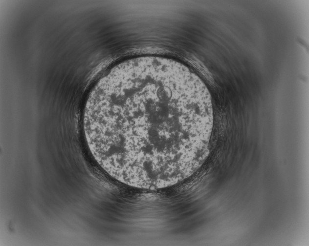 X0000096490111200802211247