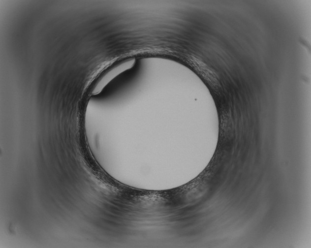 X0000096490112200802211247