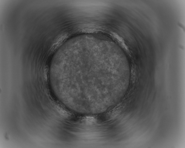 X0000096490114200802211247