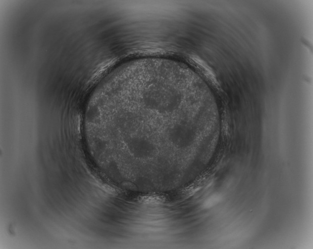 X0000096490115200802211247