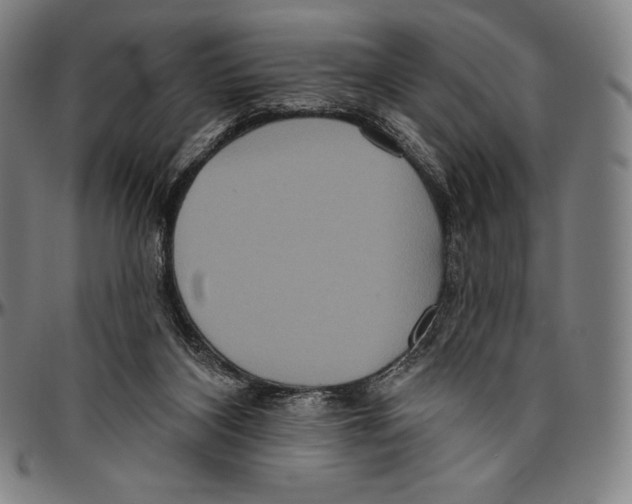 X0000096490116200802211247