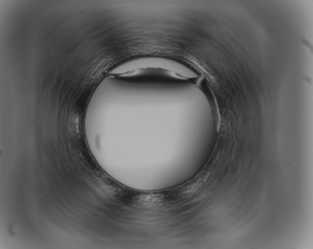 X0000096490117200802211247