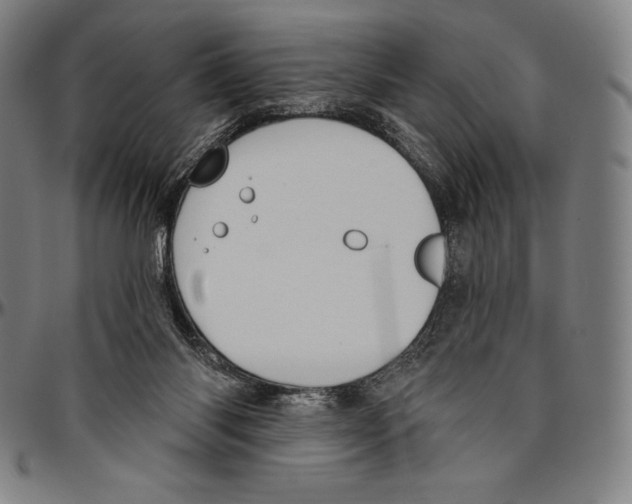 X0000096490118200802211247