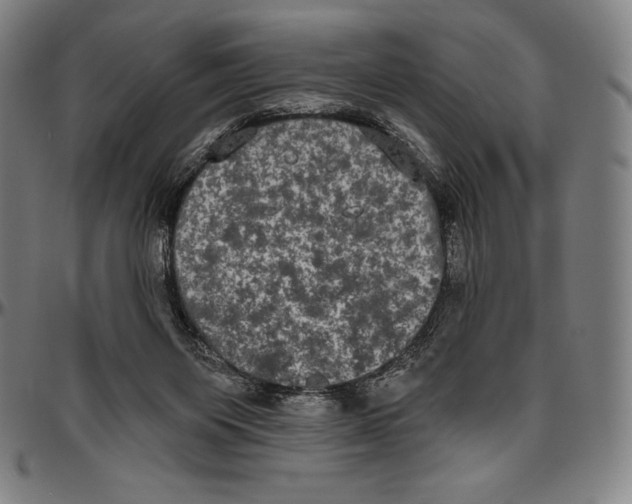 X0000096490119200802211247