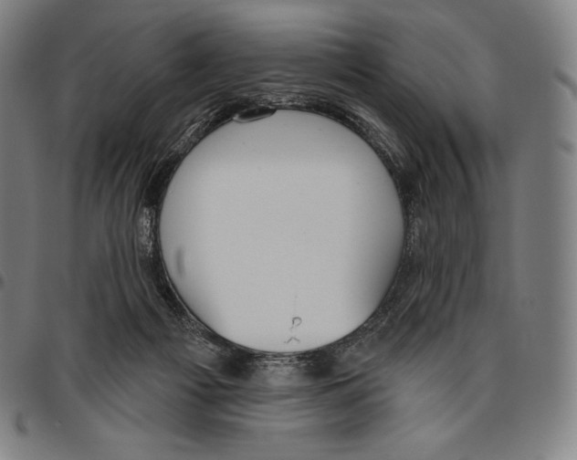 X0000096490121200802211247