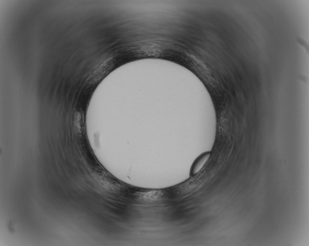 X0000096490122200802211247