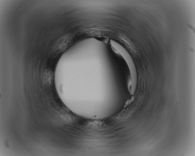 X0000096490125200802211247