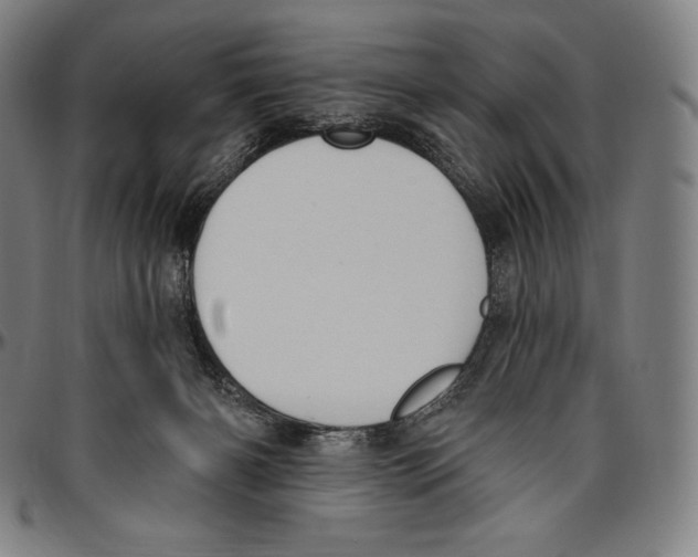 X0000096490126200802211247