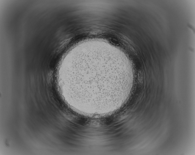 X0000096490127200802211247