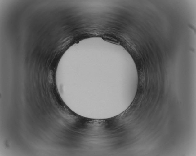 X0000096490128200802211246