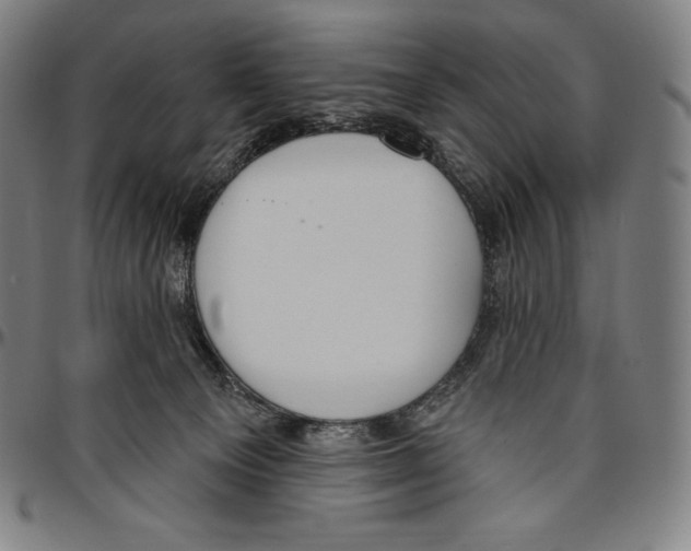 X0000096490129200802211246