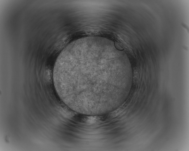 X0000096490130200802211246