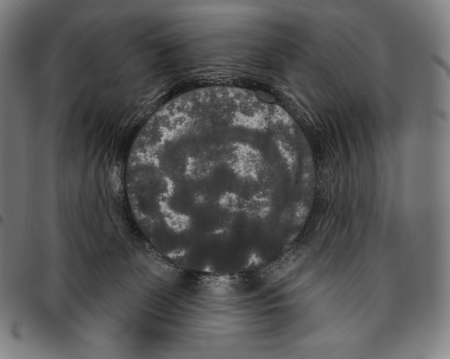 X0000096490131200802211246