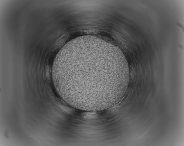 X0000096490132200802211246