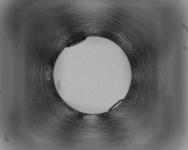 X0000096490133200802211246