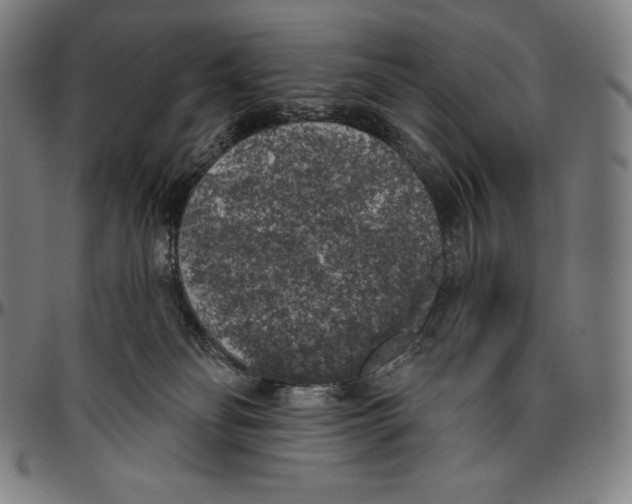 X0000096490134200802211246