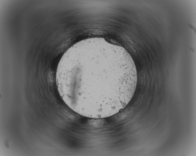 X0000096490135200802211246