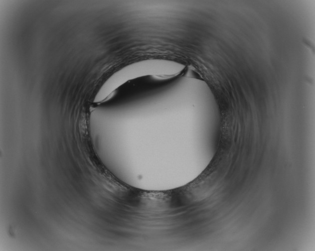 X0000096490137200802211246