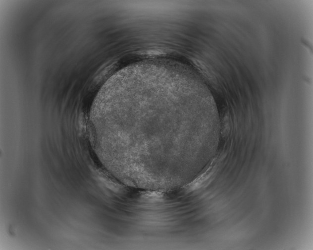 X0000096490140200802211246