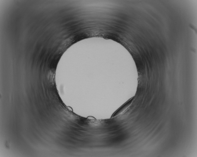 X0000096490142200802211246