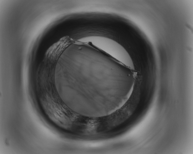 X0000096490143200802211246