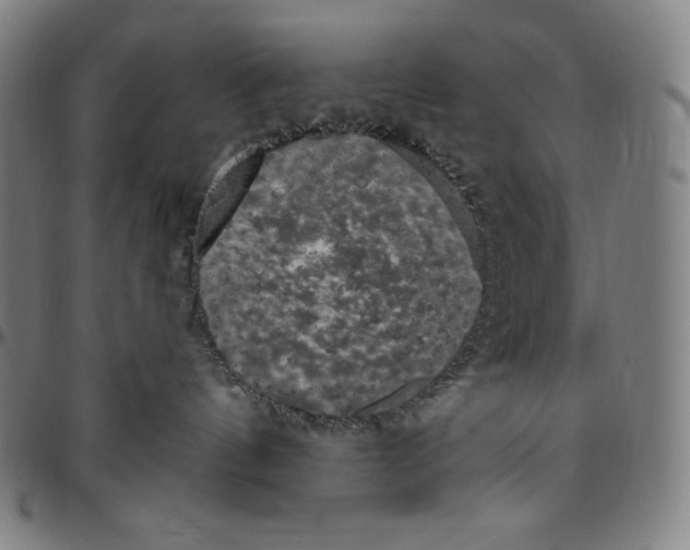 X0000096490144200802211246