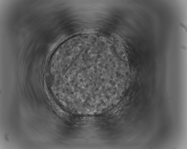 X0000096490145200802211246