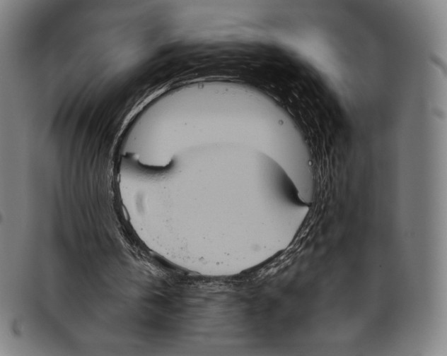 X0000096490146200802211246