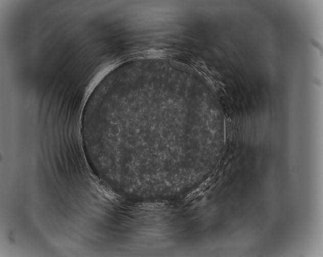 X0000096490147200802211246