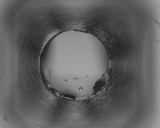 X0000096490148200802211246