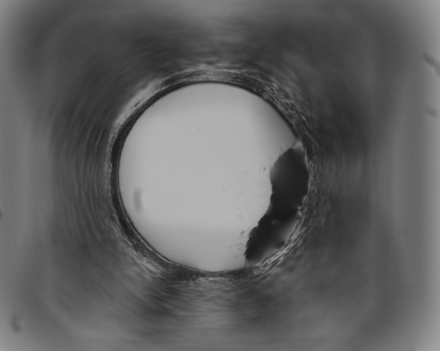 X0000096490150200802211246