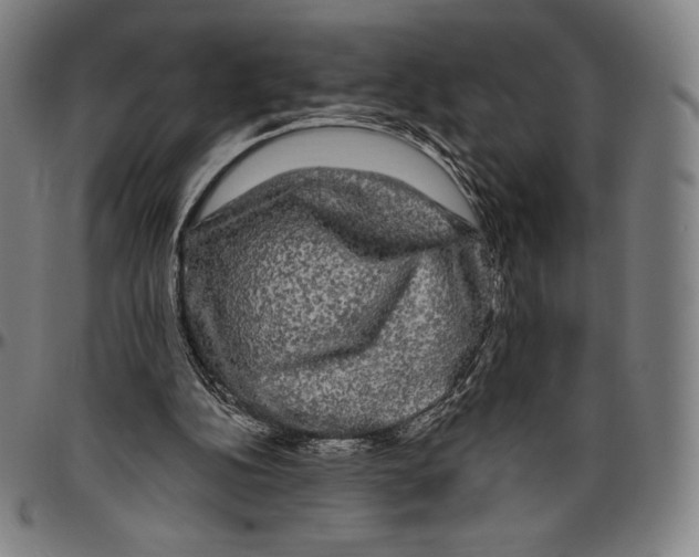 X0000096490152200802211246