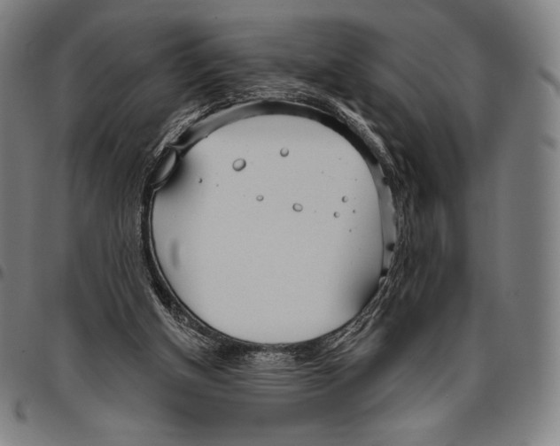 X0000096490154200802211246