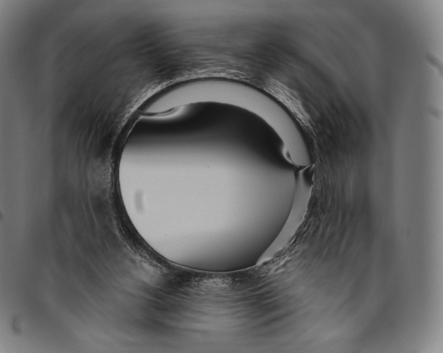 X0000096490156200802211246