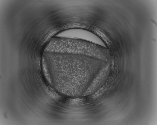 X0000096490158200802211246