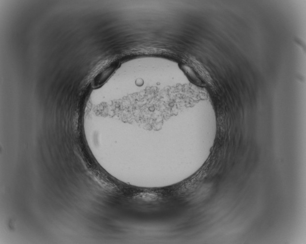 X0000096490159200802211246