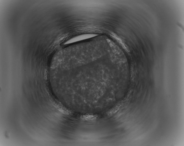 X0000096490161200802211246