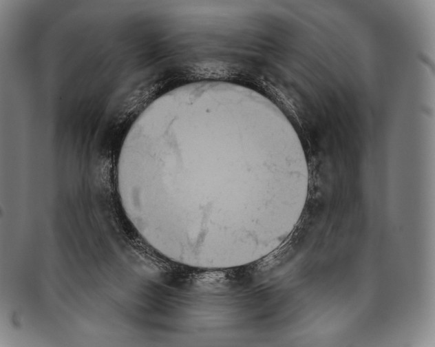 X0000096490162200802211246