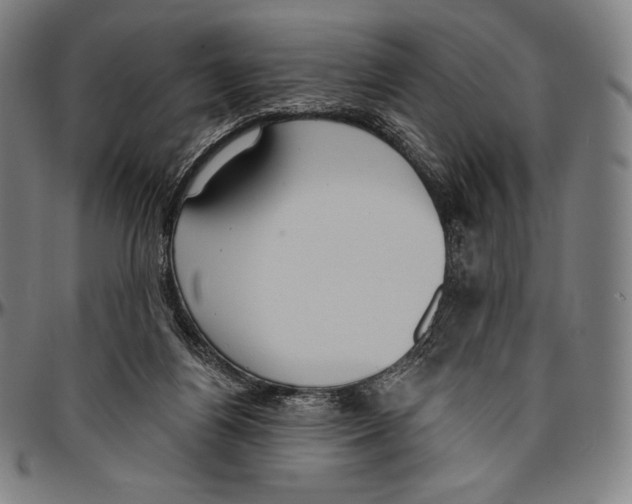 X0000096490164200802211246